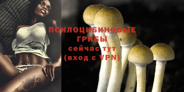 ALPHA PVP Белоозёрский