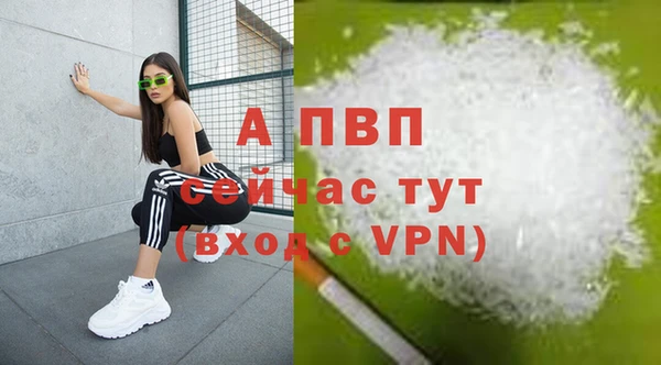 дурь Белокуриха