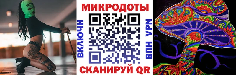 Псилоцибиновые грибы Psilocybine cubensis Горно-Алтайск